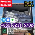 CAS 59-46-1 Procaine with high quality hot sale stock