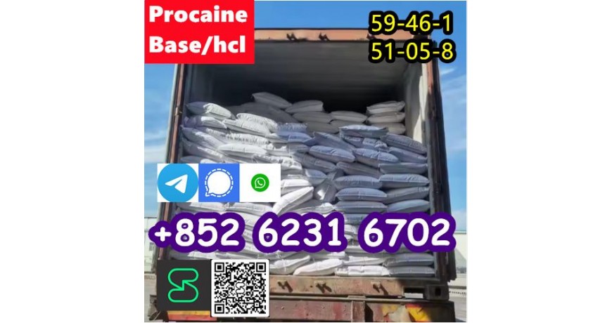 CAS 59-46-1 Procaine with high quality hot sale stock