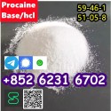CAS 59-46-1 Procaine with high quality hot sale stock