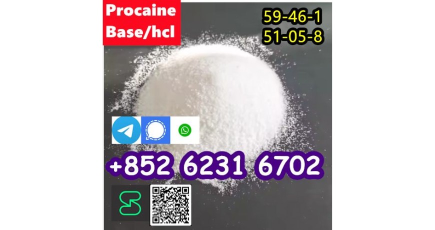 CAS 59-46-1 Procaine with high quality hot sale stock