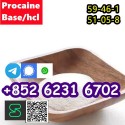 CAS 59-46-1 Procaine with high quality hot sale stock