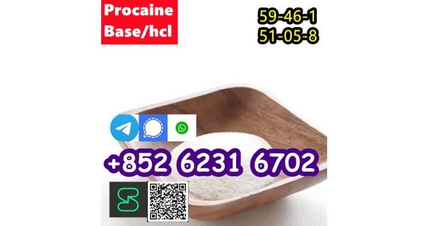 CAS 59-46-1 Procaine with high quality hot sale stock