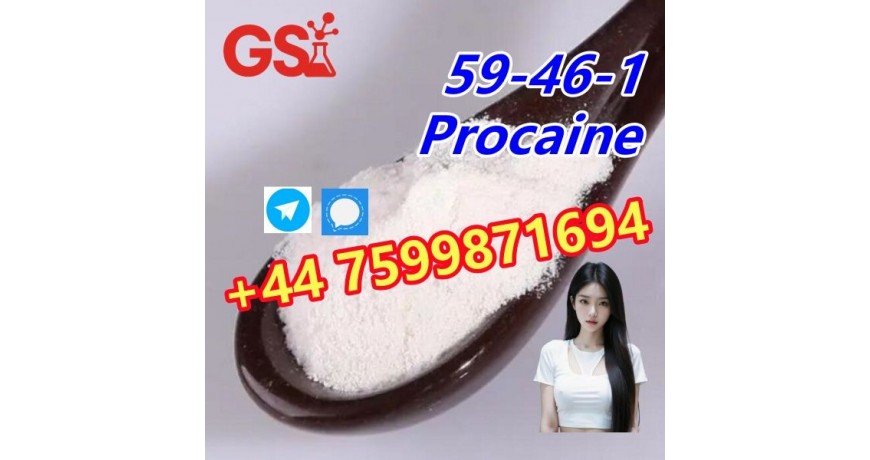 Procaine CAS 59-46-1 – High Quality from Reliable Chinese Supplier!