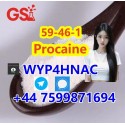 Ready to Ship – Procaine CAS 59-46-1 | Full Documents, Global Clients!