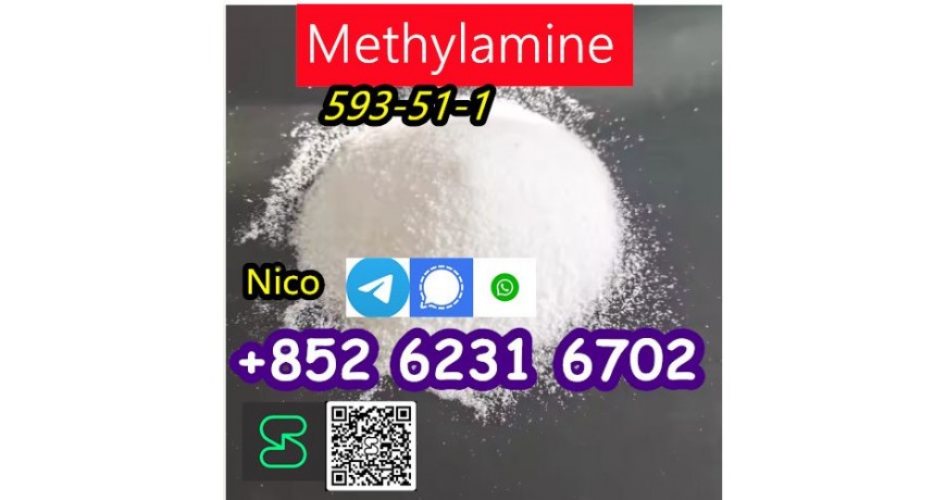 how to buy Hot sales CAS 593-51-1 methylamine HCl with good quality