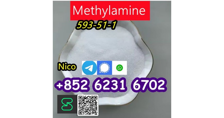 how to buy Hot sales CAS 593-51-1 methylamine HCl with good quality