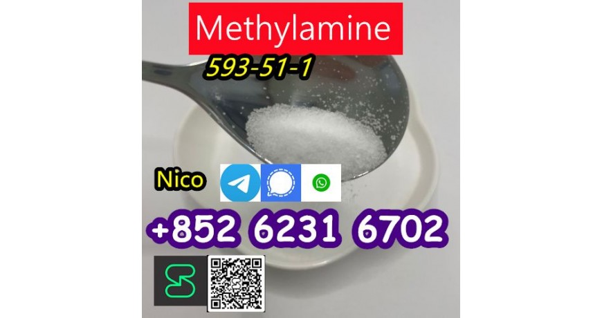 how to buy Hot sales CAS 593-51-1 methylamine HCl with good quality