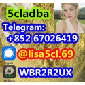 5cladba best cannabinoid 5cladb adbb precursor raw 5cl-adb-a 5fadb