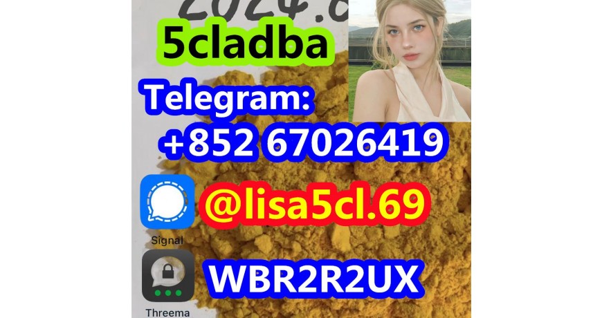 5CL-ADB-A powder 5-cl-adb-a Research Chemical Powders 5cladba