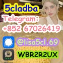 5CL-ADBA Strongest Research Chemical 5cl Precursor 5cladba