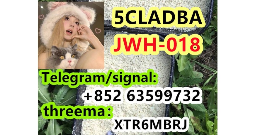 free sample 5CLADBA 5CL-ADB-A 5cladb vendor on sale now