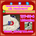 Manufacturer Supply Raw Material CAS 137-58-6 Lidocaine