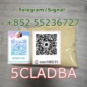 Popular 5Cladba 5cladb adbb Eutylone