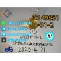 Wholesale GS 49851-31-2 factory price