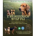 Ogar Polski szczenięta z rodowodem zkwp