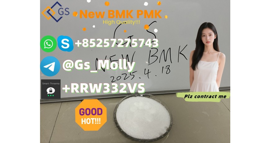 Hot Selling GS BMK PMK CAS 28578-16-7 5449-12-7 High Quality Low Price