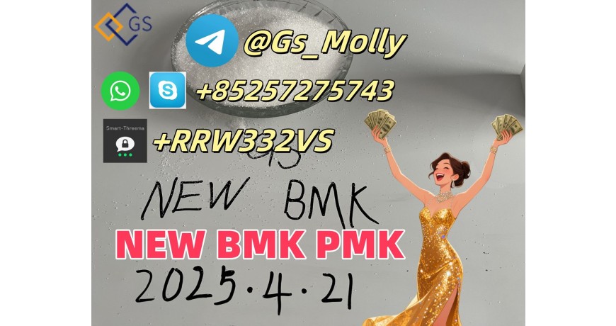 GS New Pmk Powder CAS 28578-16-7 Sodium Salt China Supplier