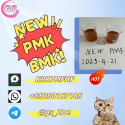 PMK (CAS 28578-16-7) and BMK (CAS 20320-59-6)