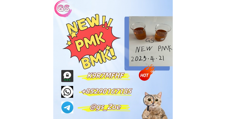 PMK (CAS 28578-16-7) and BMK (CAS 20320-59-6)