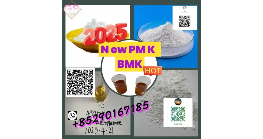New  PMK (GAS: 28578-16-7)