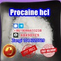 Procaine factory supply Procaine crystal powder