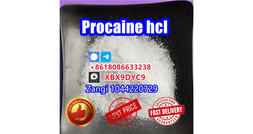 Procaine factory supply Procaine crystal powder