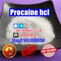Procaine factory supply Procaine crystal powder