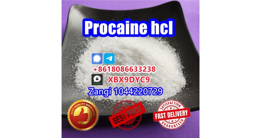Procaine factory supply Procaine crystal powder