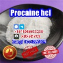 Procaine factory supply Procaine crystal powder