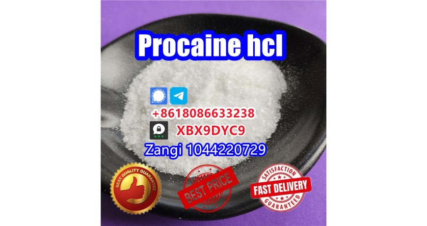 Procaine factory supply Procaine crystal powder