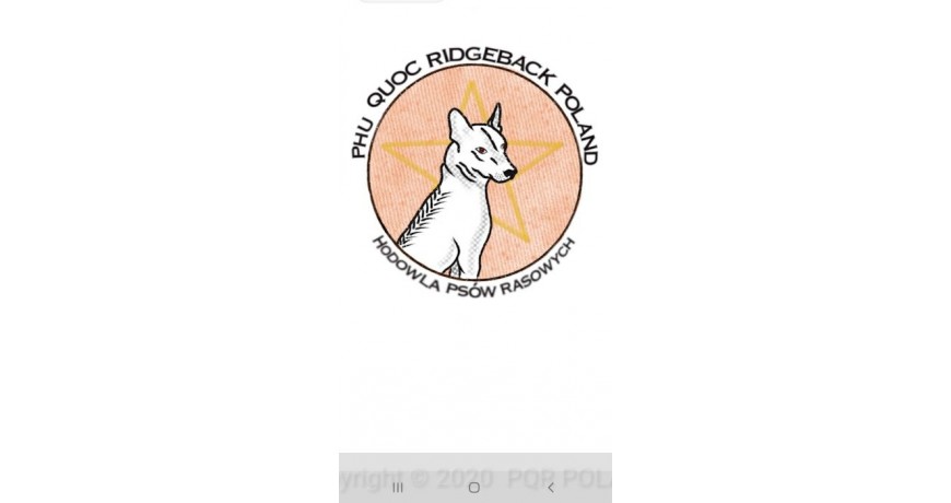Phu Quoc Ridgeback, jedyne psy myśliwskie tej rasy w Polsce!