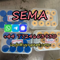 Can peptides Semaglutide 910463-68-2 work