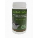 Belotrofix środek do odtłuszczania, preparacji czaszki, 120 g