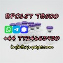 TB500 cas 885340-08-9