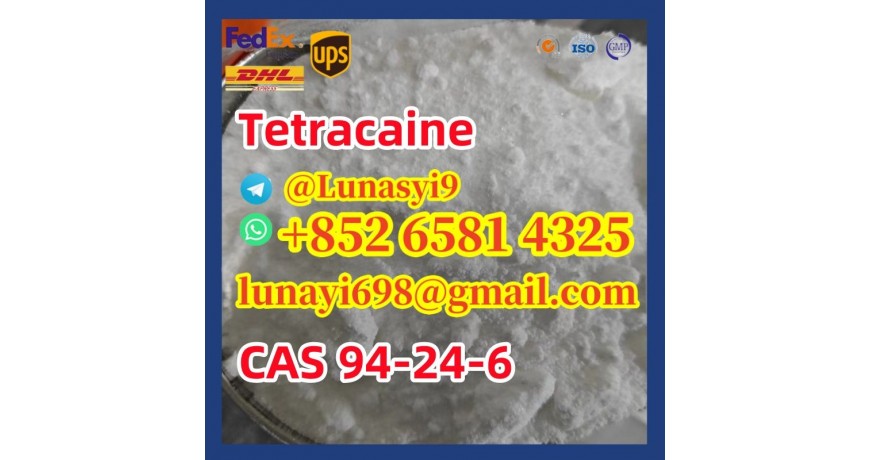 Tetracaine CAS 94-24-6