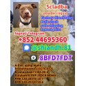 FOOD 5CLADBA 5cl-adba ADBB 100% cannabinoid 5cladba