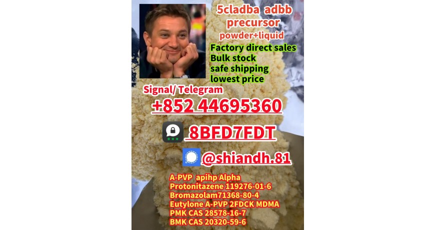 Supplier ADBB 5CL-ADB-A precursor 5CL-ADB-A 5CLADBA 5CL-ADB-A