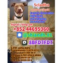 Supplier 5CL-ADB-A 5cladba raw material 5CLADBA 5CL-ADB-A