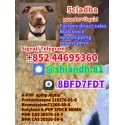 Adbb 5CL Free sample 5CLADBA 5cl-adba 5CL-ADB-A
