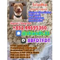 high puirty 5cladba 5cl 5-CL-ADB-A 5CLADBA adbb jwh018
