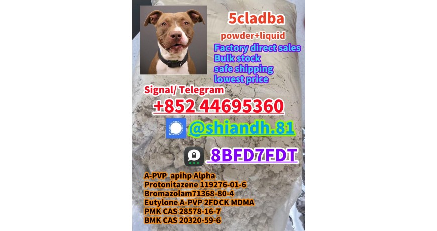 Supplier 5clabda 5cl Free sample 5-CL-ADB-A 5CLADBA